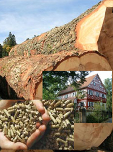 Holz, Lehm und andere Naturbaustoffe