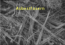 Was Menschen beim Thema Asbest umtreibt