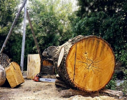  Die neue DIN 68800 stärkt die Anwendung des baulichen Holzschutzes